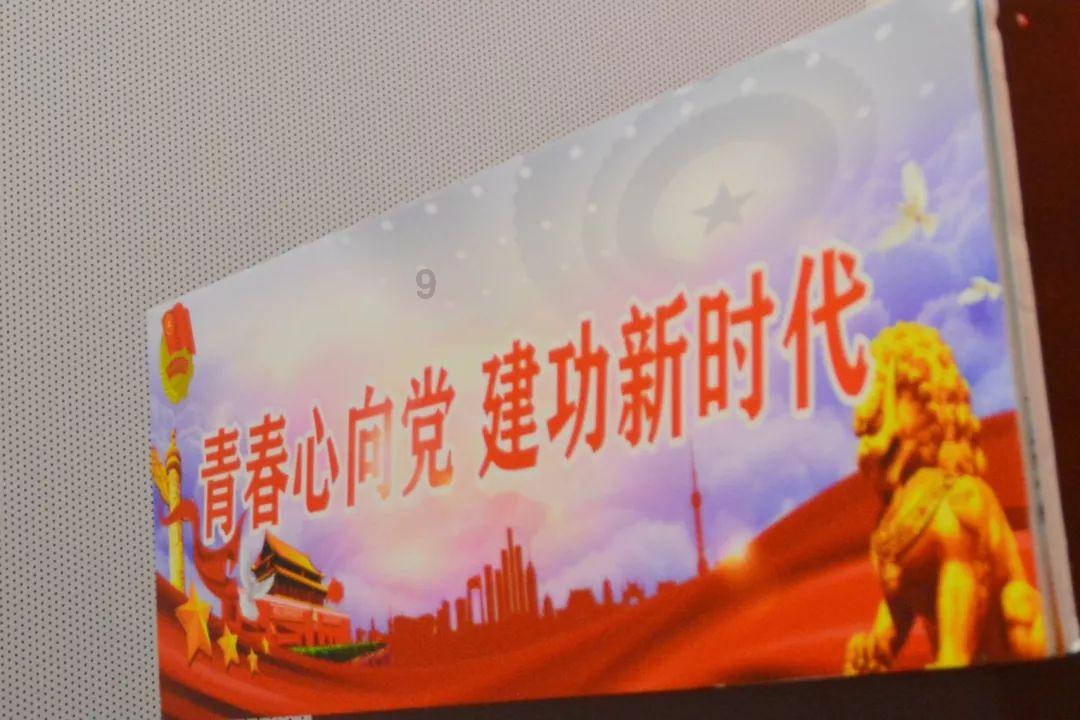 拯救昆虫群